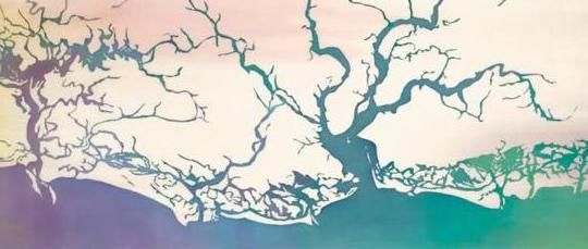 Artist Mary Edna Fraser's Charleston scarf